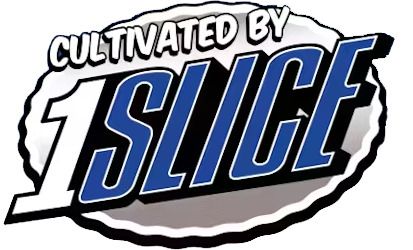 1Slice logo