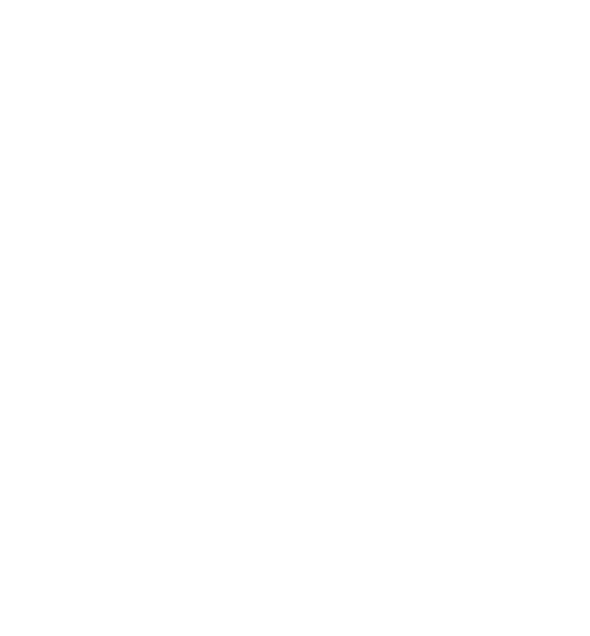 40 Tons logo