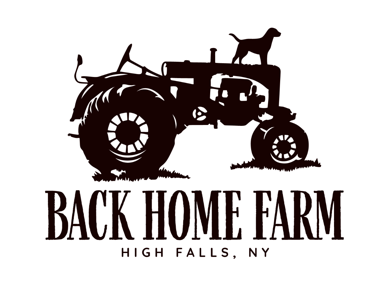 Back Home Cannabis Co. logo