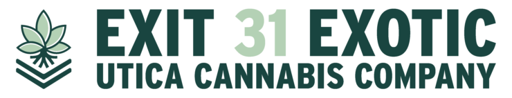 Exit 31 Exotic logo
