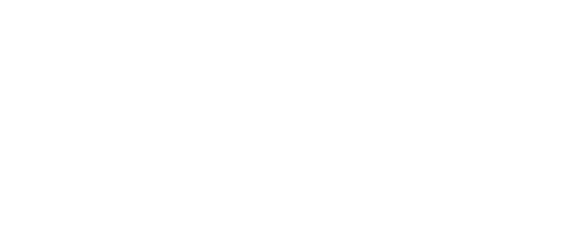 NY FLOS logo