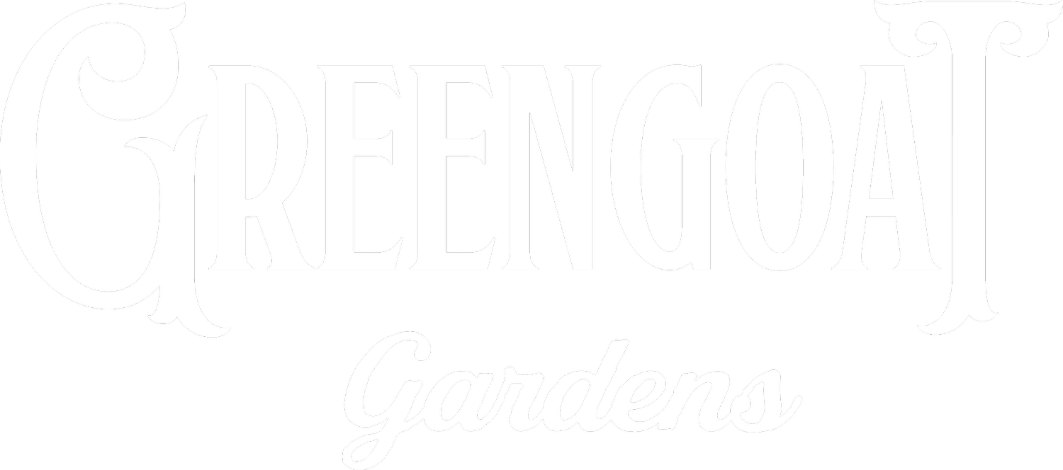 Green Goat Cannabis Shoppe - Cannabis Dispensary in New Paltz, NY