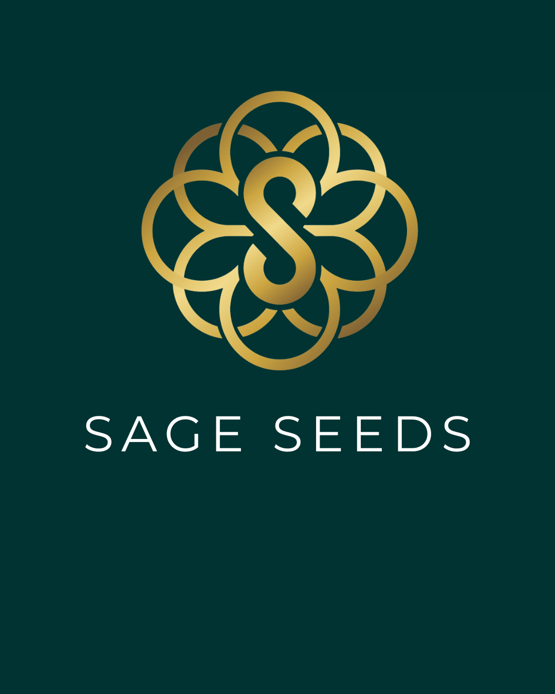 Puff n' Paint @ Sage Seeds NY