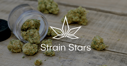Strain Stars White Plains logo
