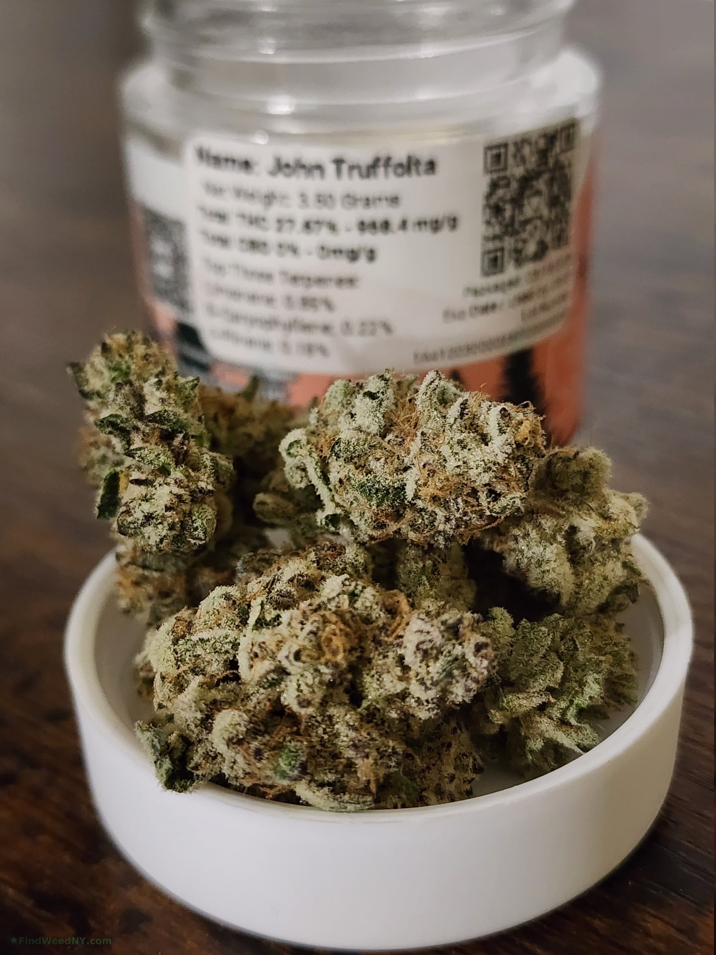 John Truffolta Flower by Alpine Agronomy
