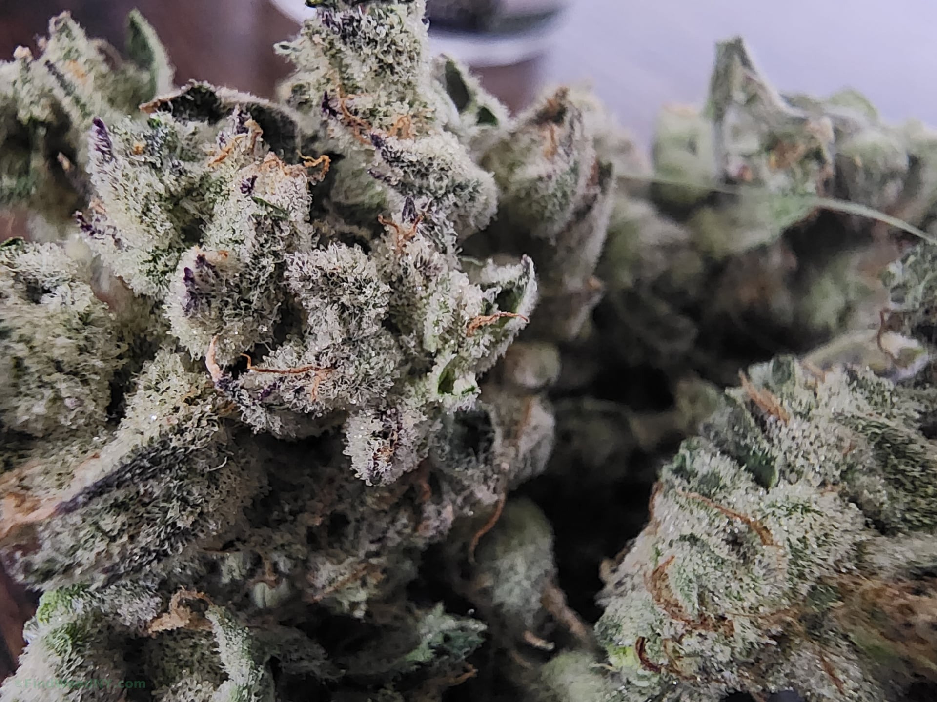 Closeup 3
